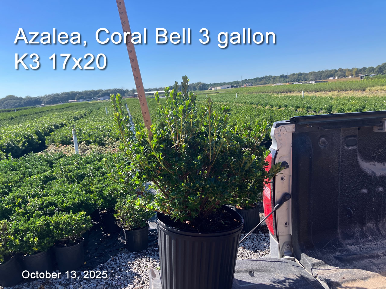 gallery/cb3 k3 oct13.jpg